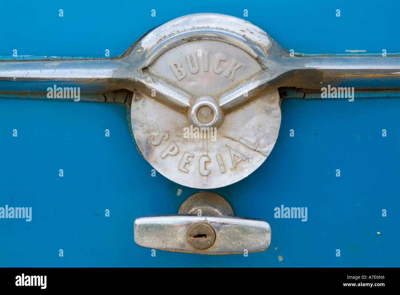 Amerikanische Oldtimer Stamm Detail, Cayo Jutias, Kuba. Stockfoto