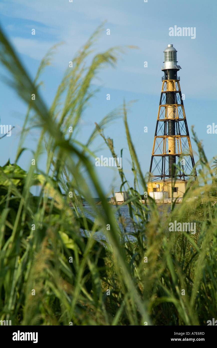 Bambus und ein Leuchtturm am Cayo Jutias Kuba Stockfoto