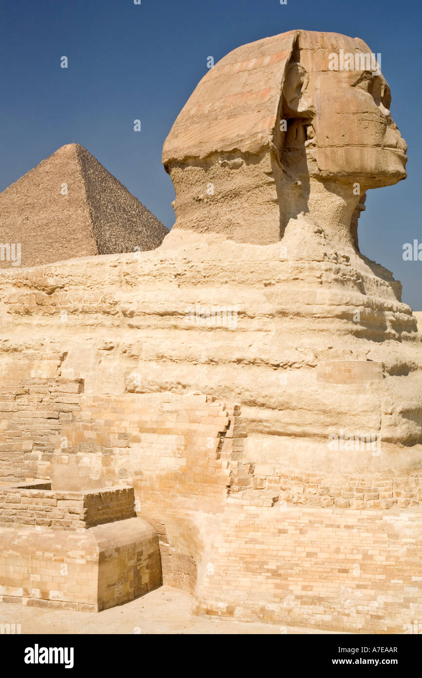Profil-Schuss der Sphinx mit der Pyramide des Cheops im Hintergrund Plateau von Gizeh-Ägypten Stockfoto