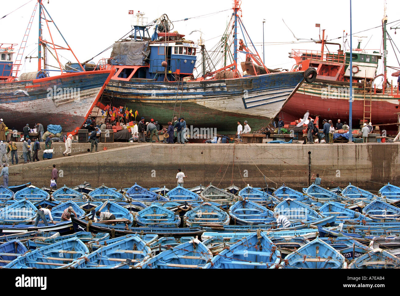 Der Fischerhafen von Essaouira in Marokko in Nordafrika Stockfoto