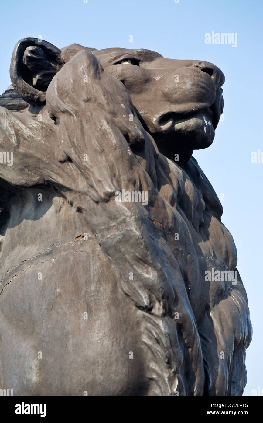 Einer der vier Löwen am Fuße des Denkmals Colum von Christopher Columbus in Barcelona Spanien Stockfoto