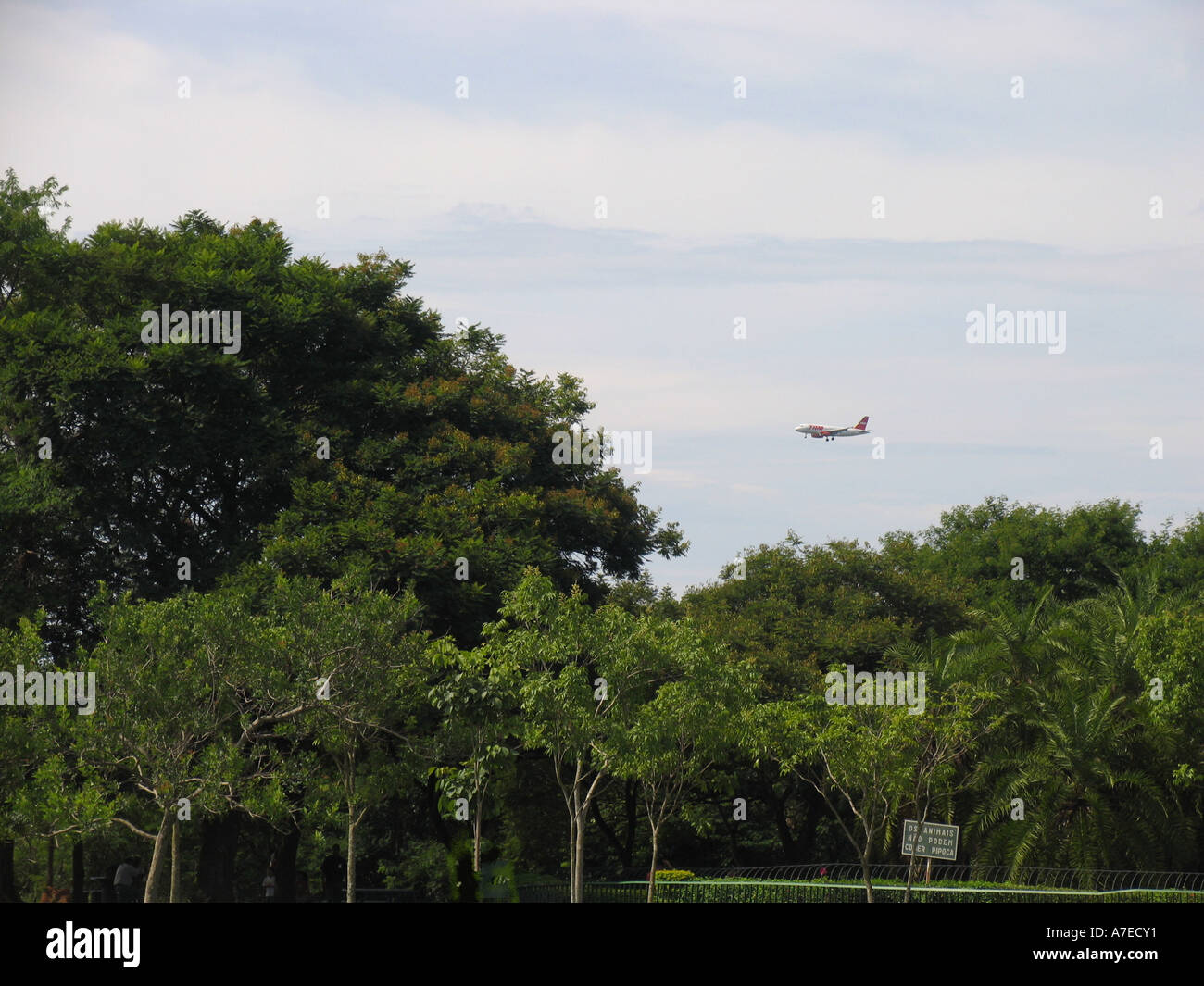 Flugzeug in brasilianischen Urwald in Brasilia-BR Stockfoto