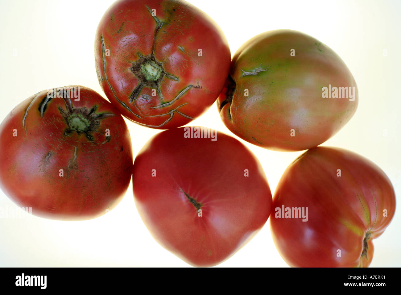 Bio-Rind-Herz-Tomaten Stockfoto