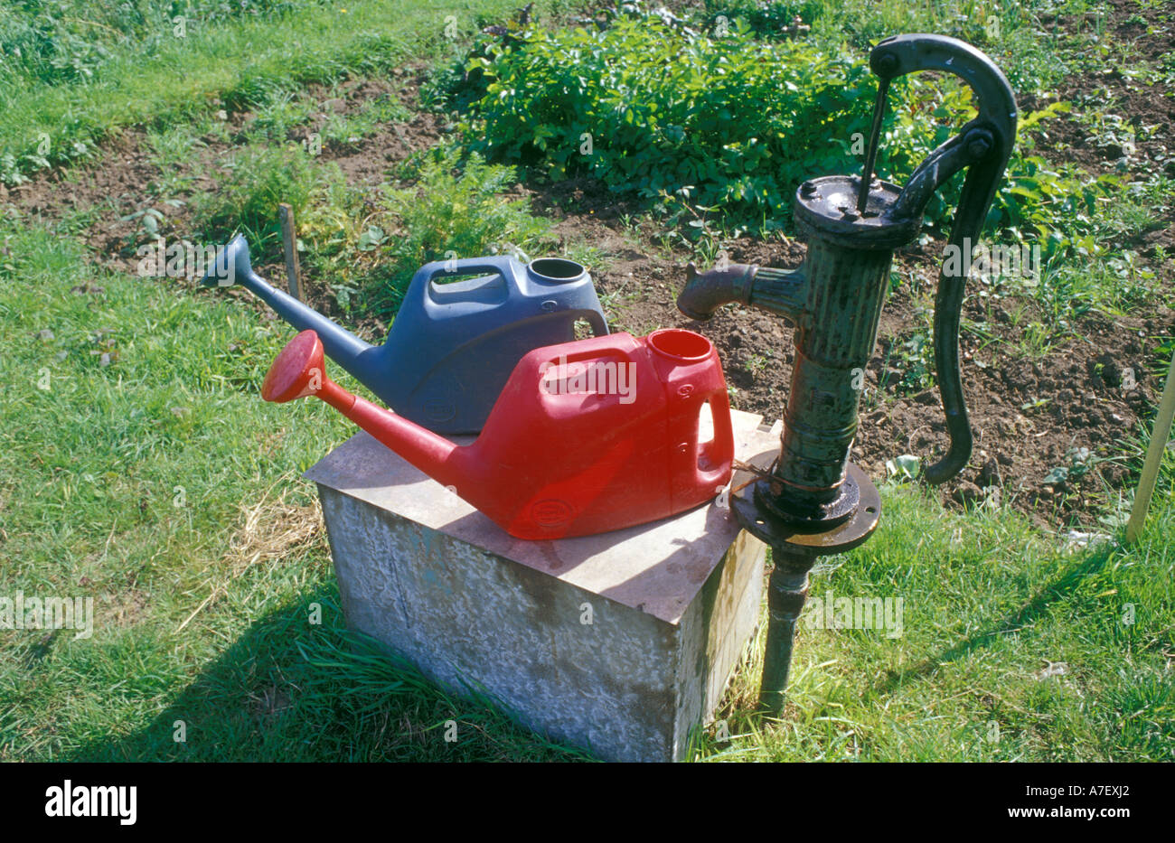 Wasser zeichnen von einer Pumpe in eine Zuteilung an einem heißen sonnigen Tag Stockfoto