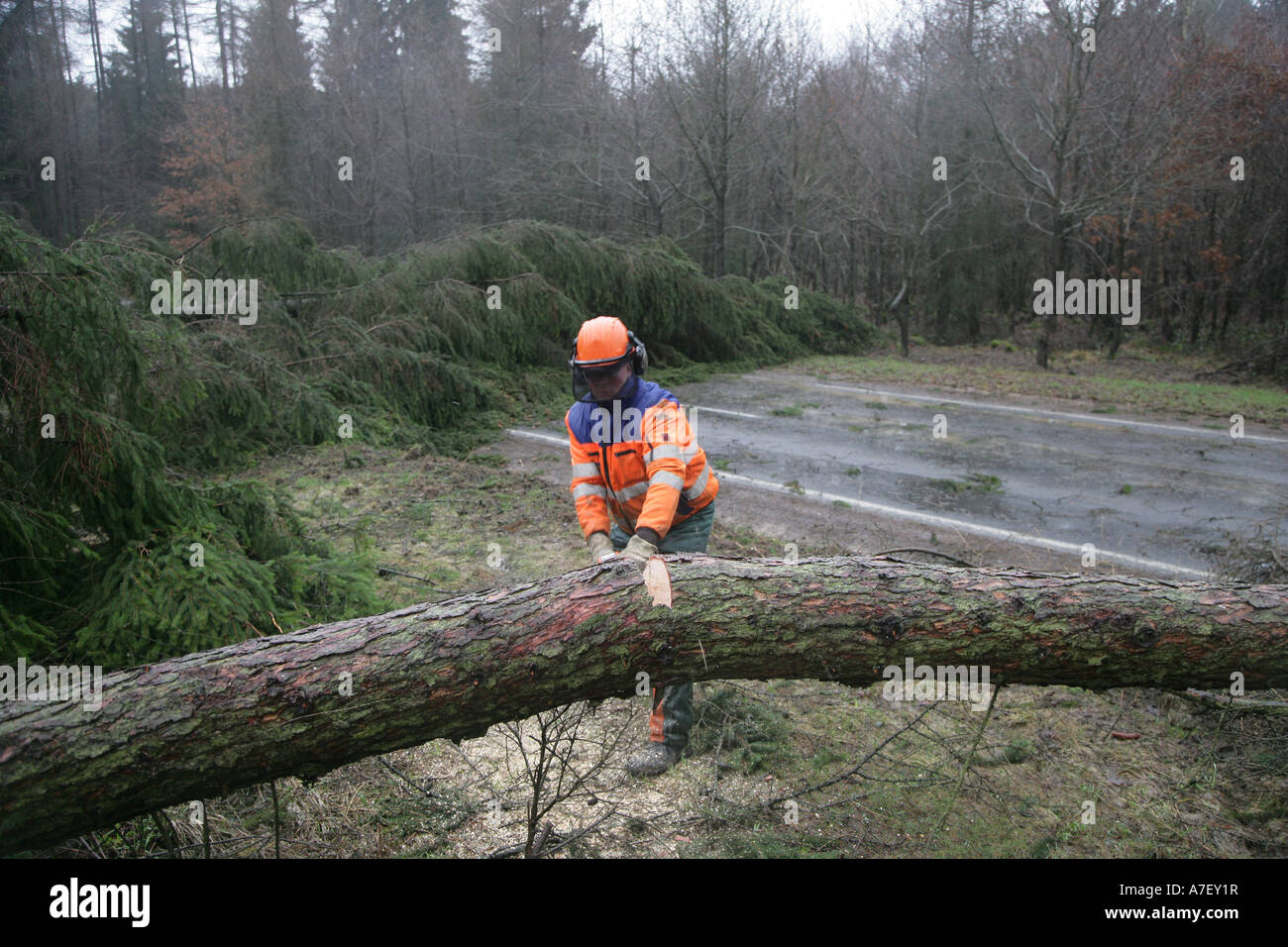 Ein Roadworker ist zerschneiden entwurzelte Bäume auf eine Straße nach einem Sturm Stockfoto