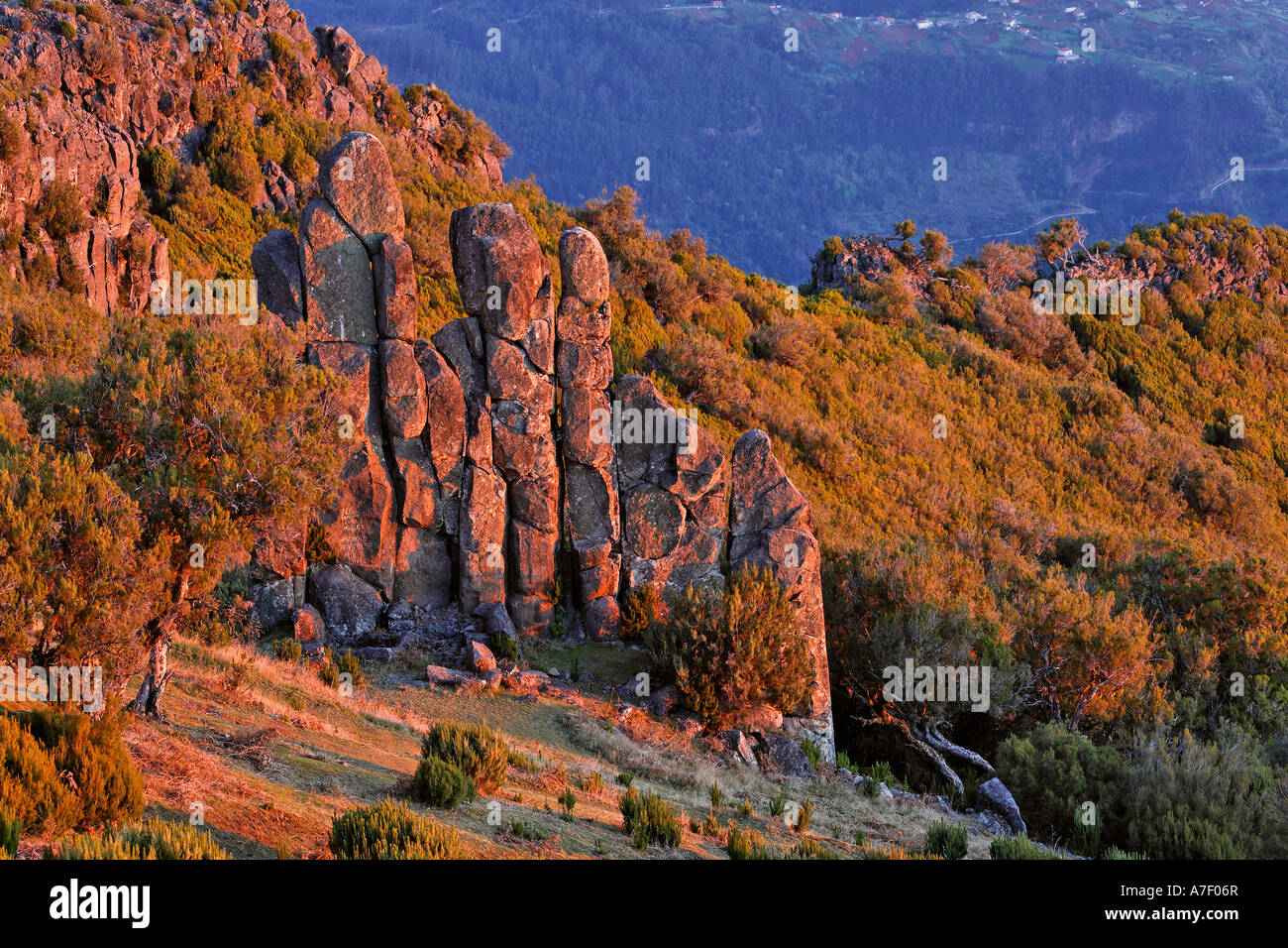 Diese Felsformation nennt man Homem Em Pe (steinigen Mensch) auf der Achada Teixeira, Madeira, Portugal Stockfoto