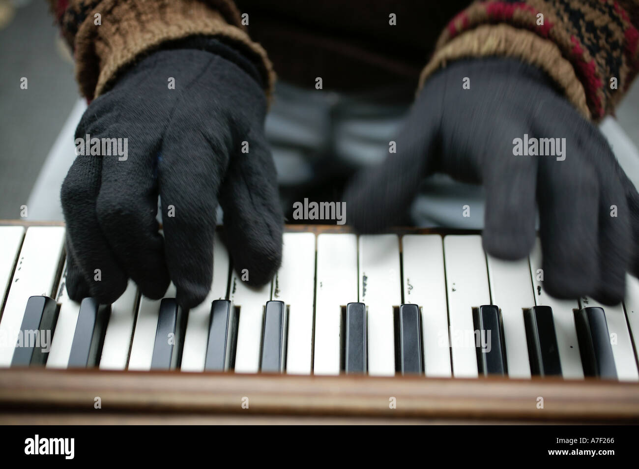 Straßenmusiker und Straßenmusiker spielt Klavier mit behandschuhten Händen am Pike Place Market in Seattle Washington Stockfoto