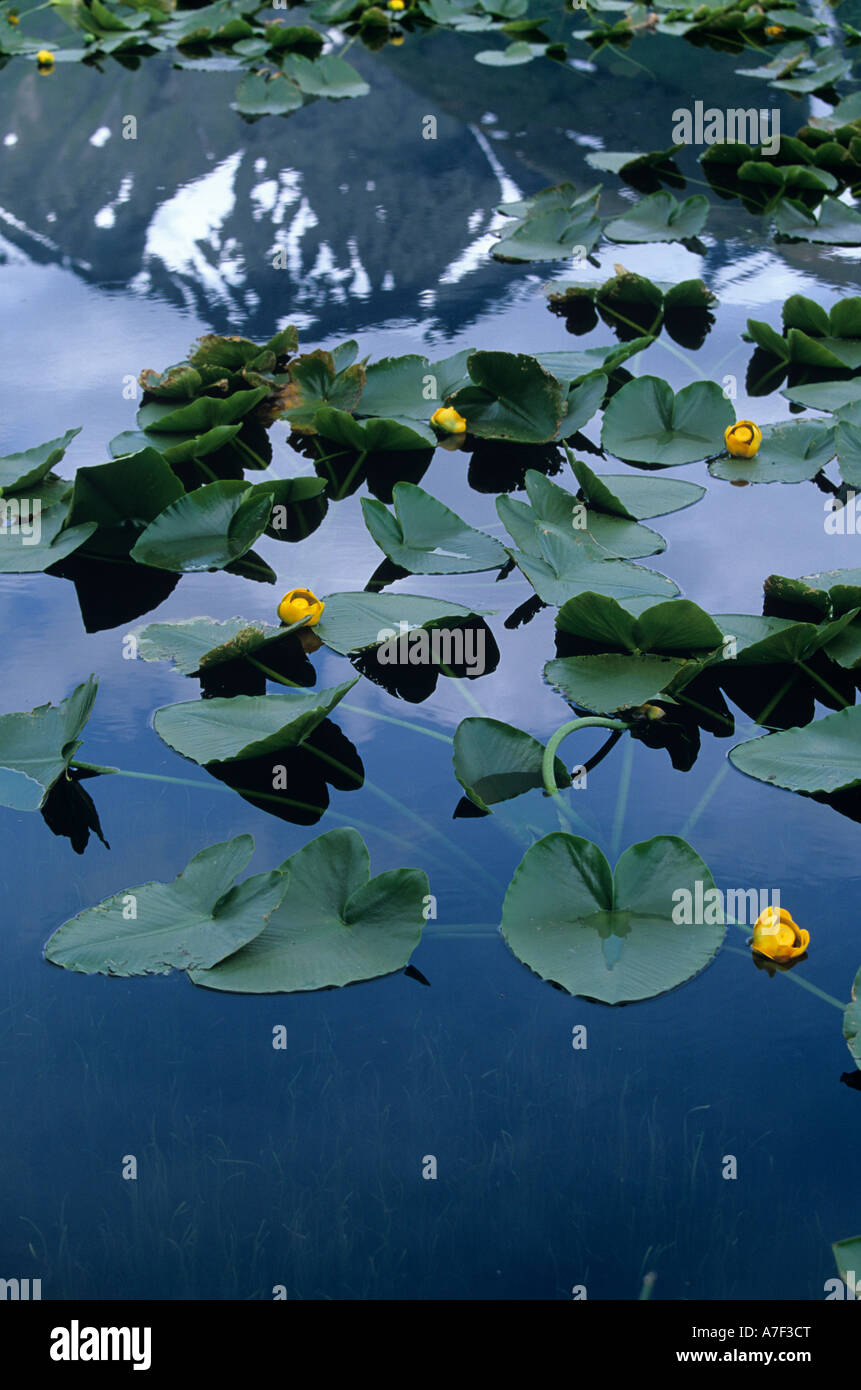USA Alaska Chugach National Forest Chugach Range Gipfeln spiegelt sich im See nördlich von Valdez Stockfoto