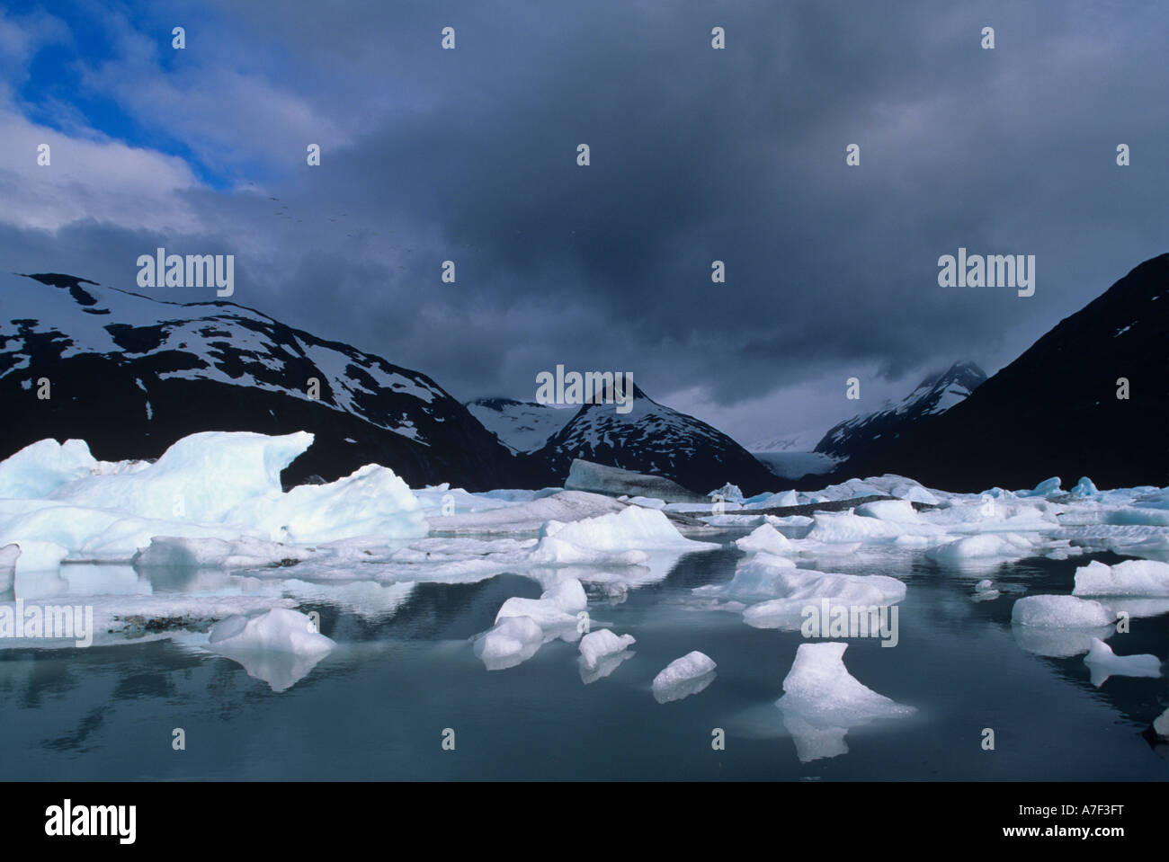 USA Alaska Chugach National Forest Eisberge schwimmen auf Portage Lake in Chugach-Gebirge Stockfoto