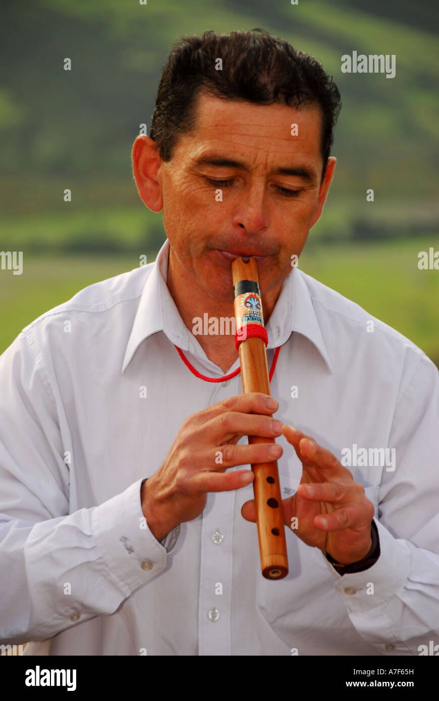 Chile Wein Land Colchagua Valley Flötenmusik Spieler Stockfoto