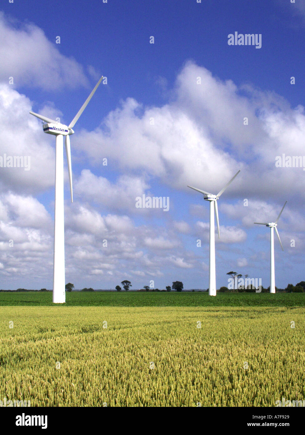 Ackerland & wind turbine Teil der Wind Generator Bauernhof von dampfturbinenanlagen von Powergen Produktion grüner Energie an Martham Norfolk East Anglia England Großbritannien Stockfoto