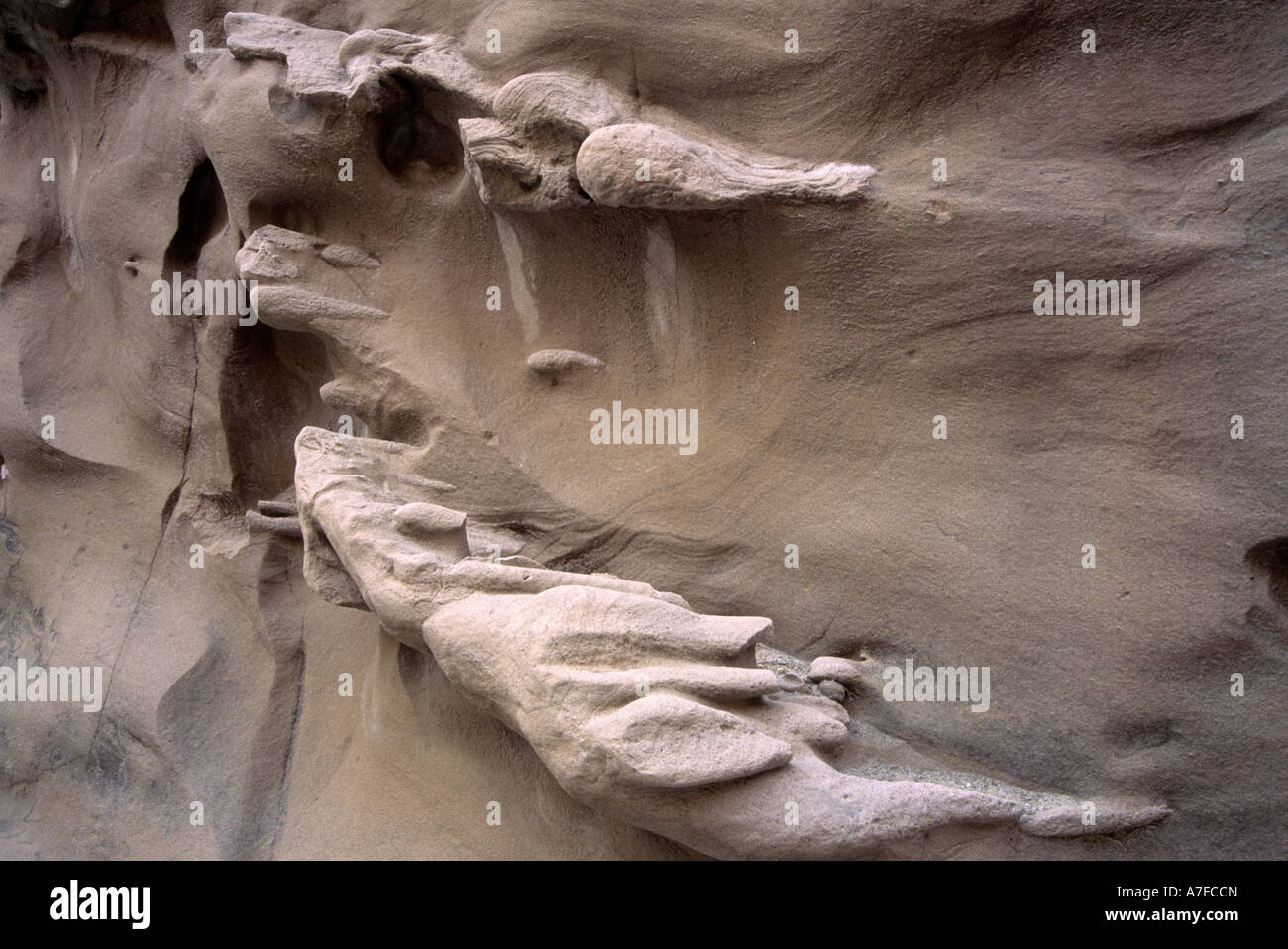 Narrows in North Fork Arroyo Salada im Anza Borrego Desert State Park, California, USA Stockfoto