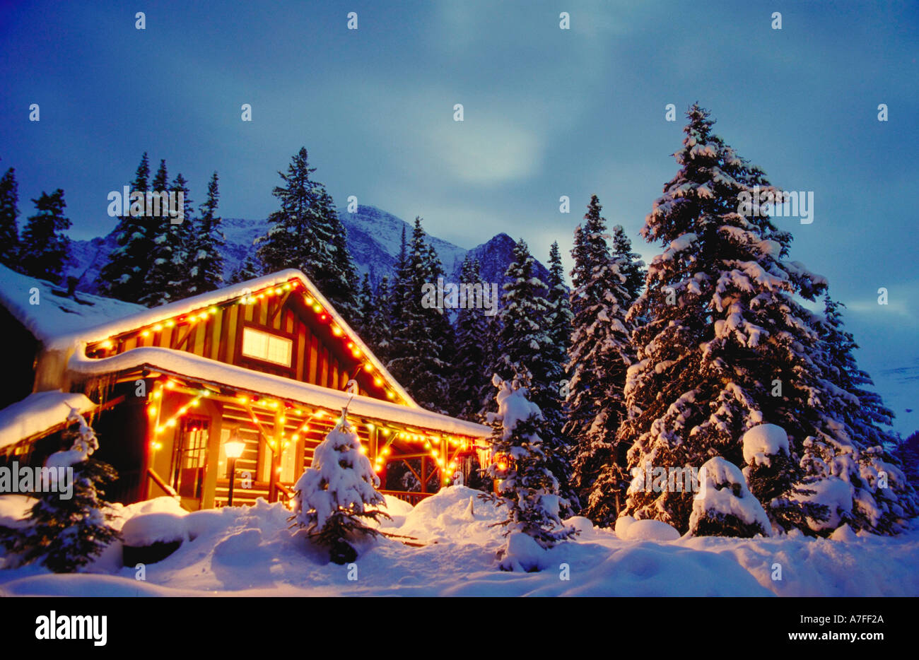 Hütte im Schnee mit Weihnachtsbeleuchtung in der Nacht und Schnee bedeckte  Bäume rund um Stockfotografie - Alamy