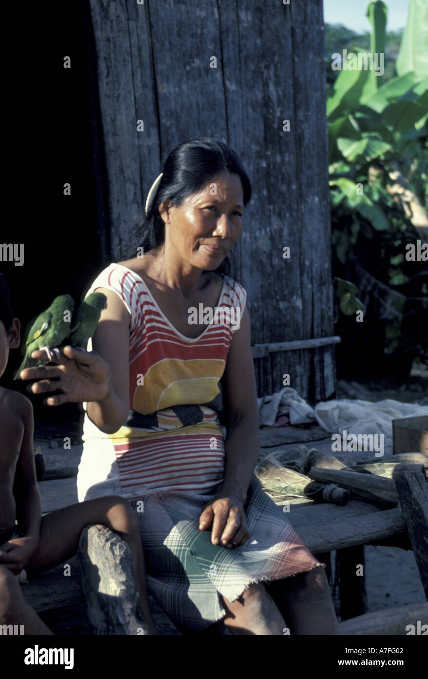 Panama, Frau halten zwei grüne Papageien Stockfoto
