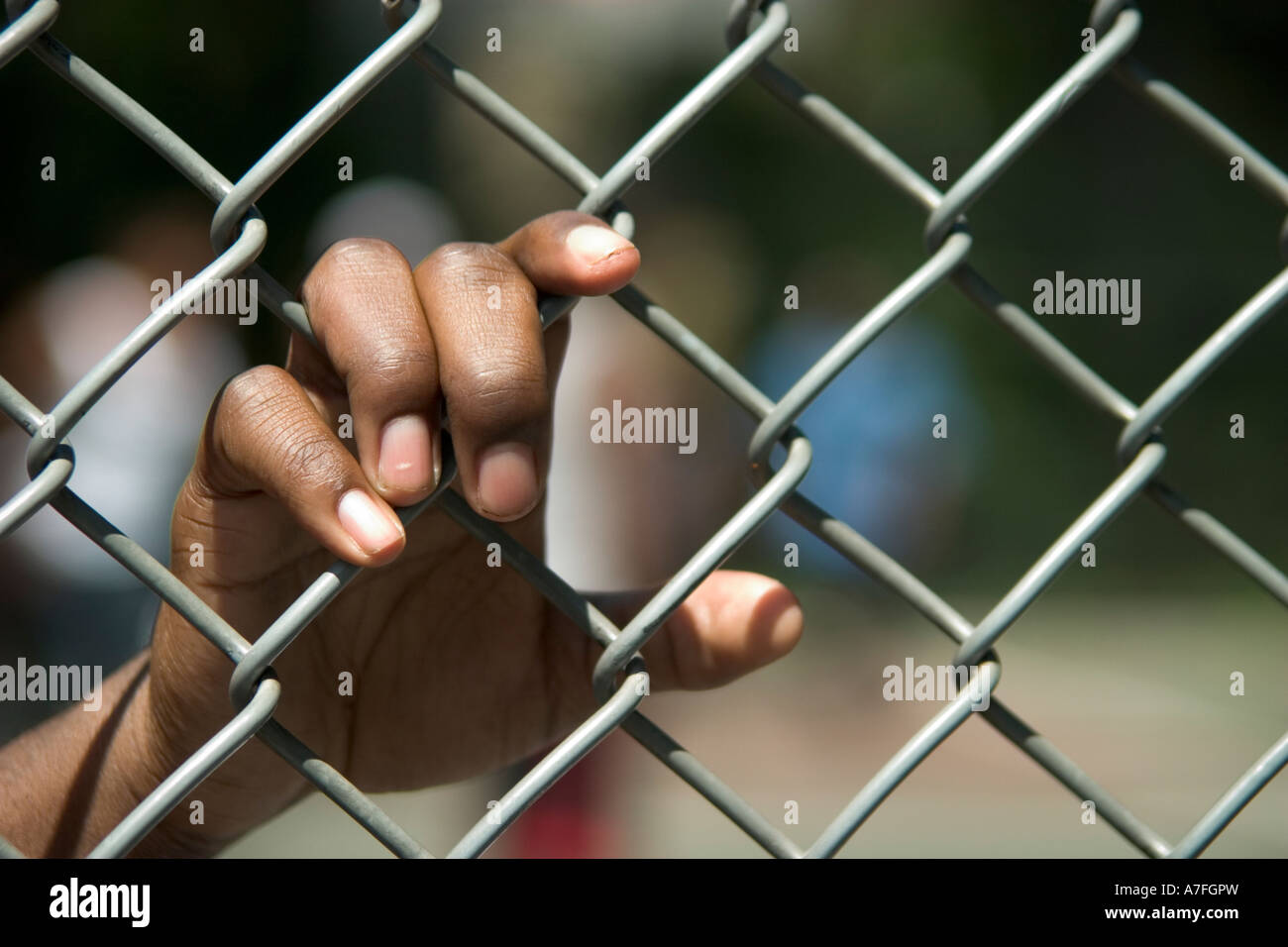 Eine afroamerikanische männliche Hand greifen ein Maschendrahtzaun von innen Stockfoto