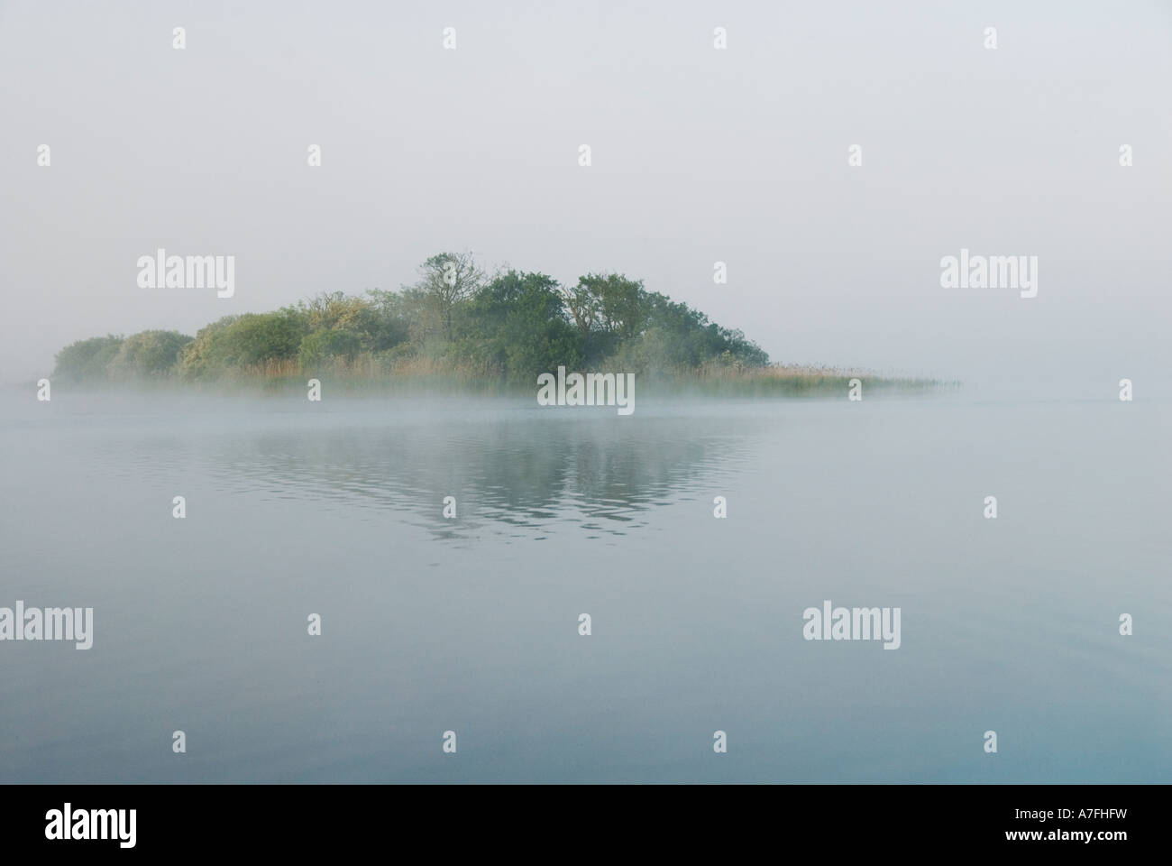 Irland County Westmeath Lough Ree Morgennebel Stockfoto