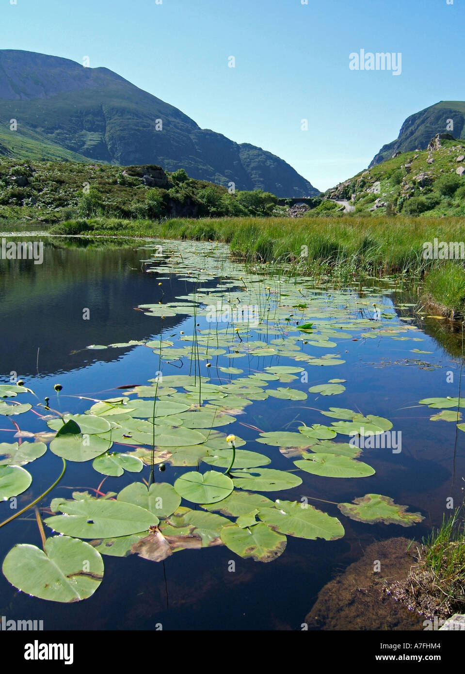 Die Gap of Dunloe, Killarney National Park, Co. Kerry, Irland Stockfoto