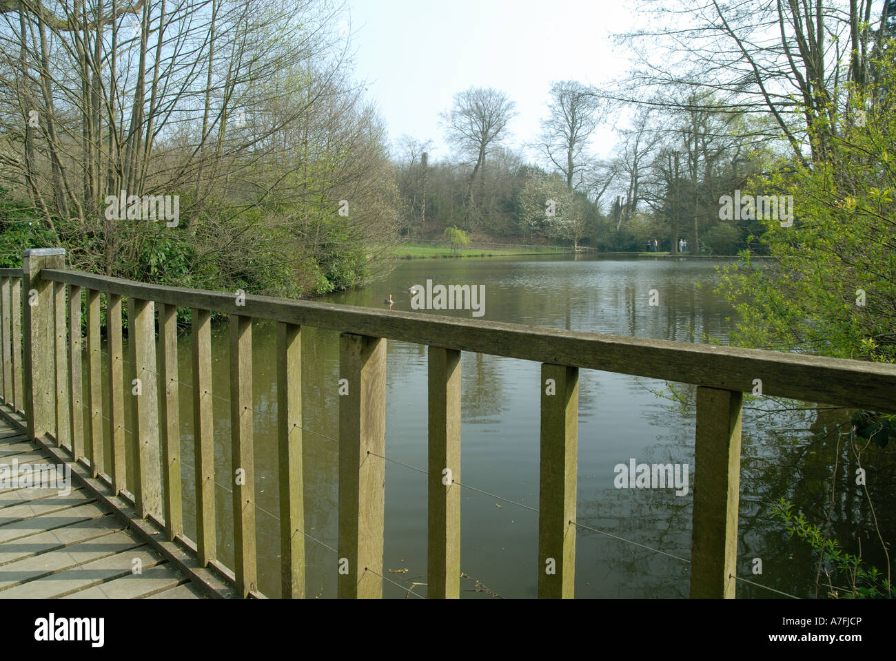 Der See bei Chartwell Haus, Kent, im Frühjahr. Stockfoto