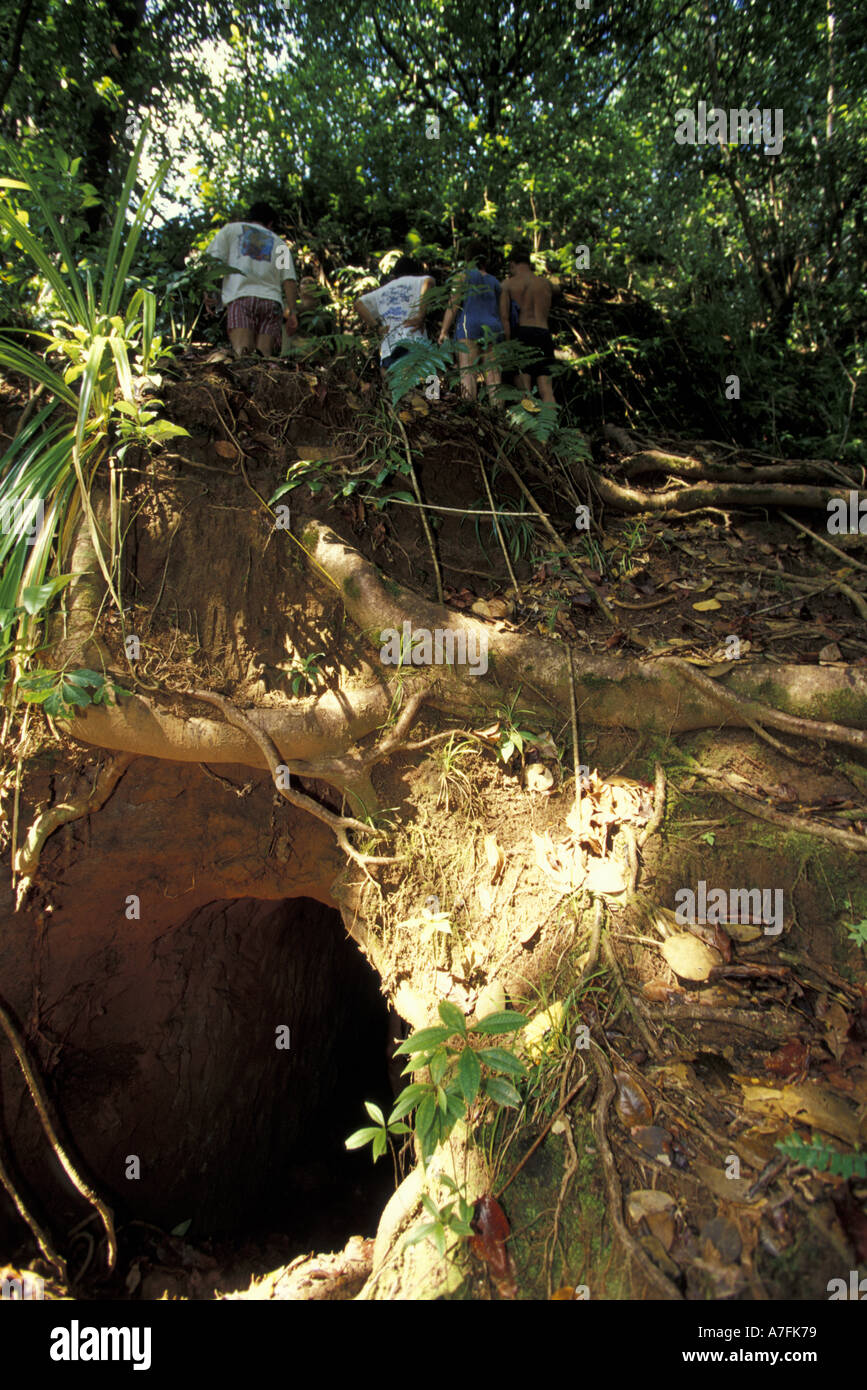 CA, Costa Rica, Cocos Island. Schatzsucher tunnel Stockfoto