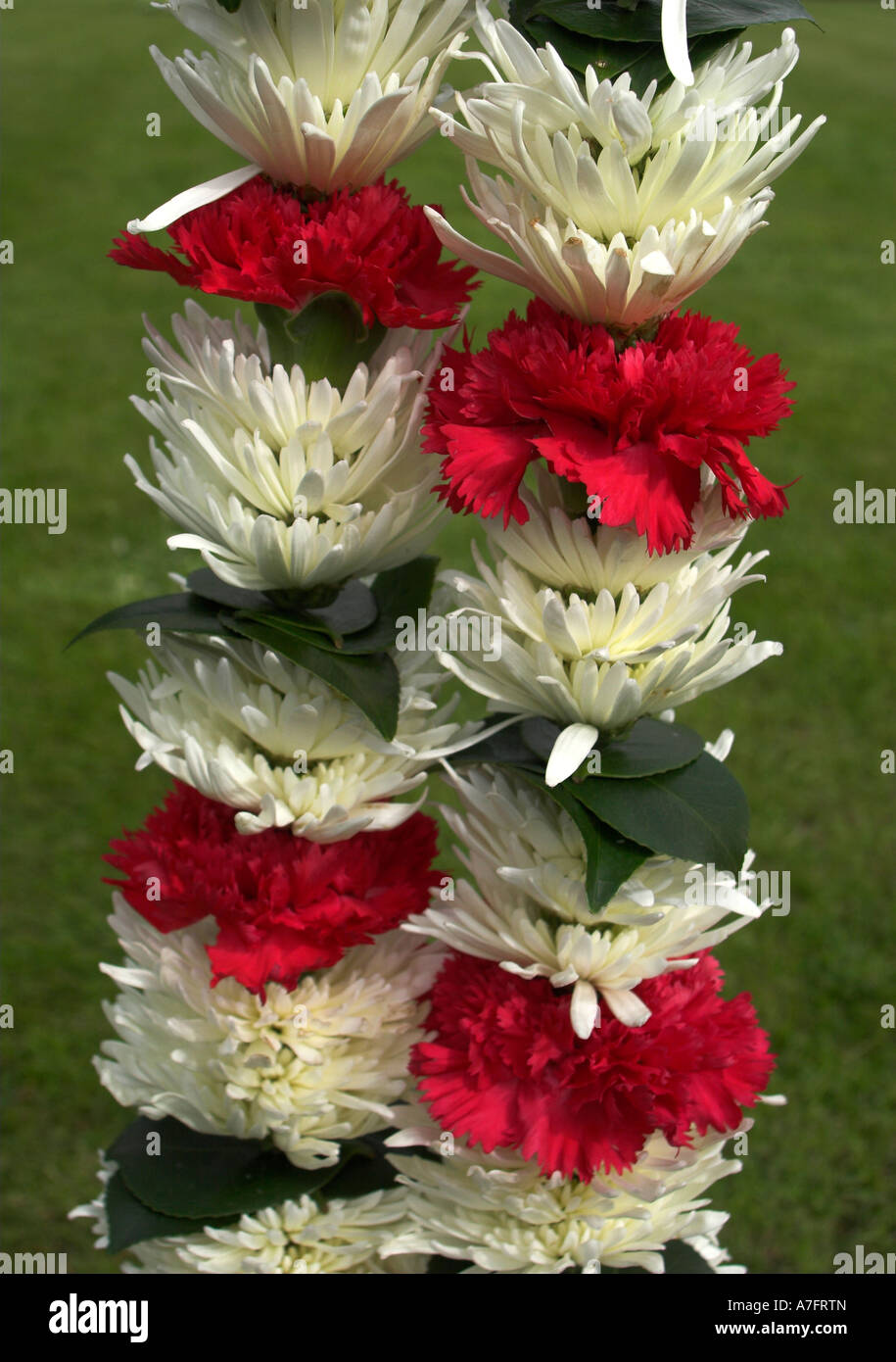 Indische Hochzeit Blume Girlande Stockfotografie Alamy