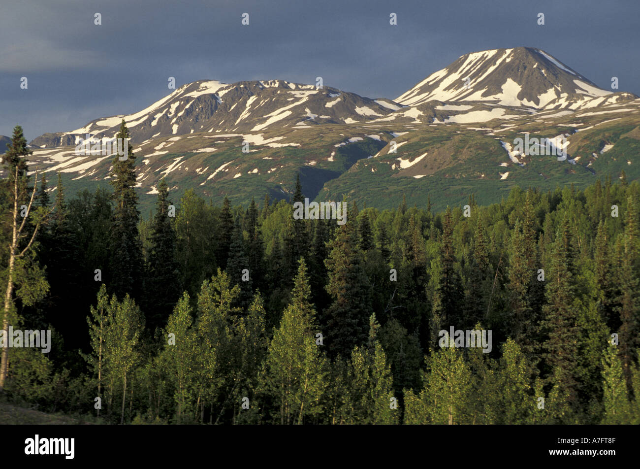 Nordamerika, USA, AK, George Parks Highway, der Alaska Range von George Parks Highway aus gesehen Stockfoto