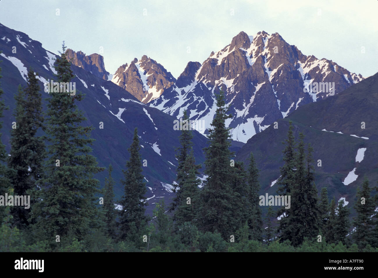 Nordamerika, USA, AK, George Parks Hwy, Blick auf die Berge Alaskas George Parks Highway entlang. Stockfoto