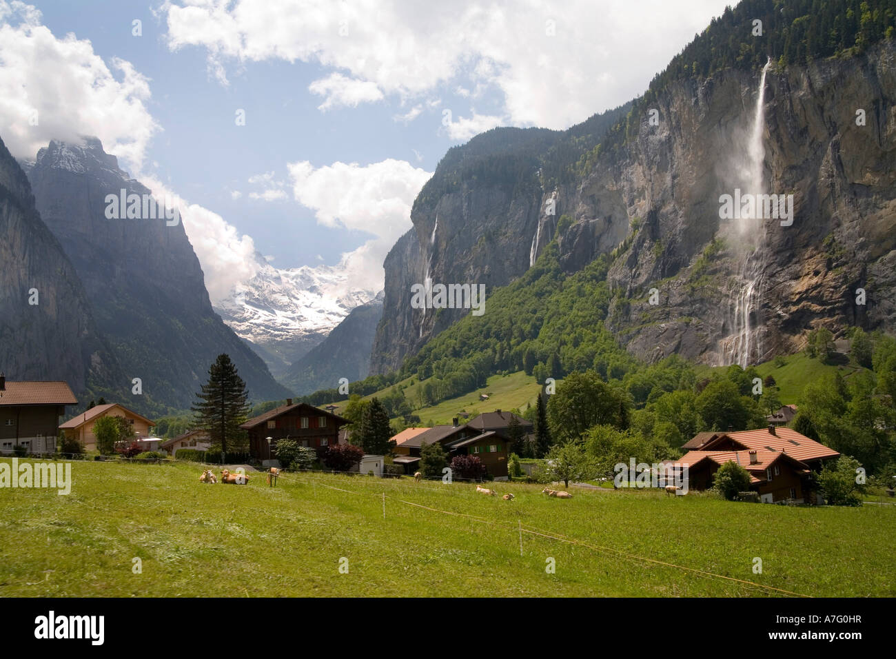 Wildblumen Bäche Flüsse grüne Gras- und Wasserfälle Gnade das Lauterbrunen Tal über Interlaken Schweiz Stockfoto