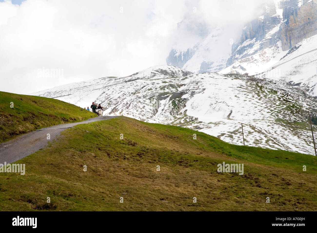 Wanderer Fuß den sanften Weg von Kleine Scheidigg bis Wengen vorbei an der Jungfrau Eiger und Monch Gipfeln einen dreistündigen Spaziergang in Stockfoto