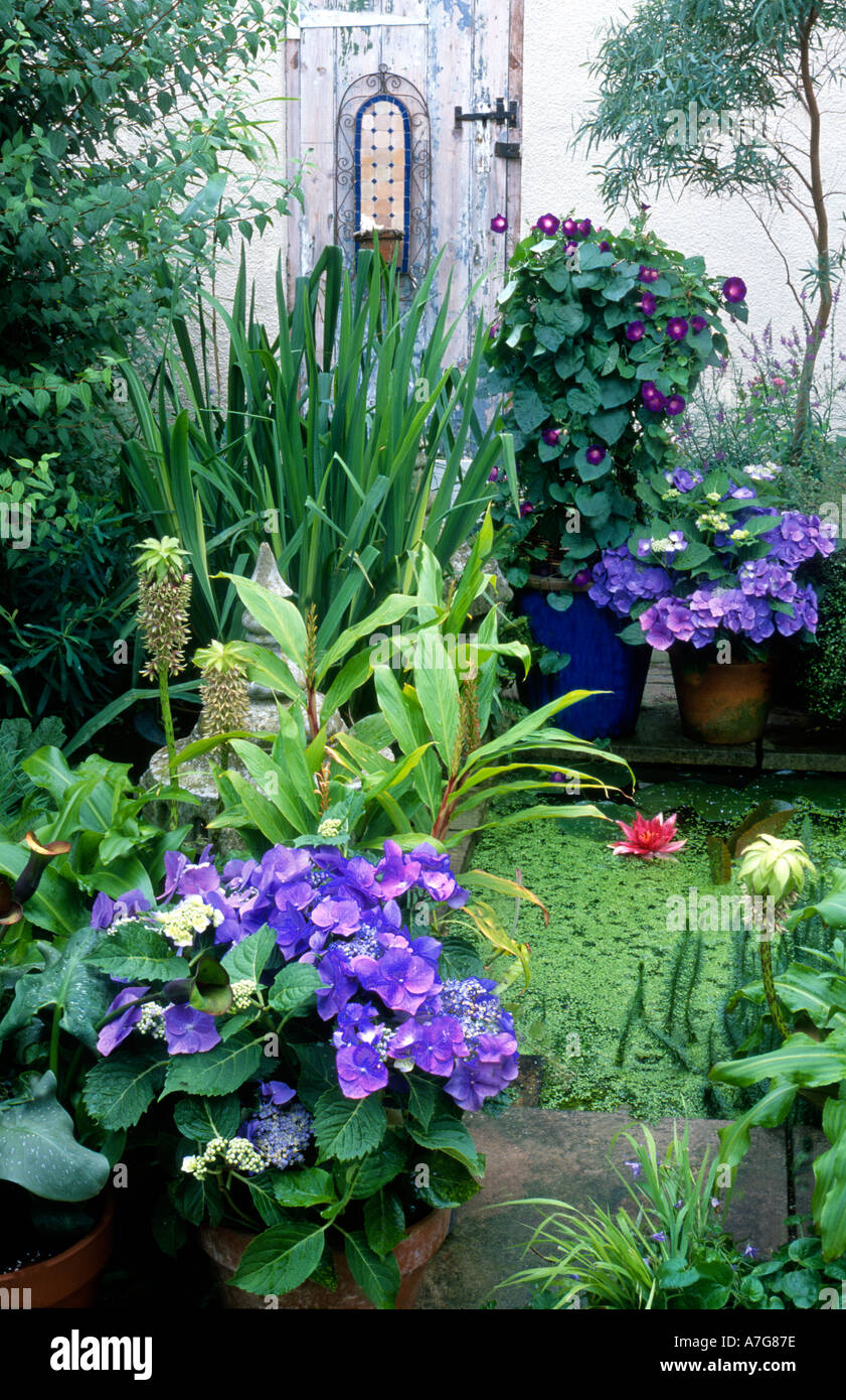 Gartenteich auf Terrasse Stockfoto, Bild: 2181245 - Alamy Gartenteich auf Terrasse Stockfoto, Bild: 2181245 - Alamy