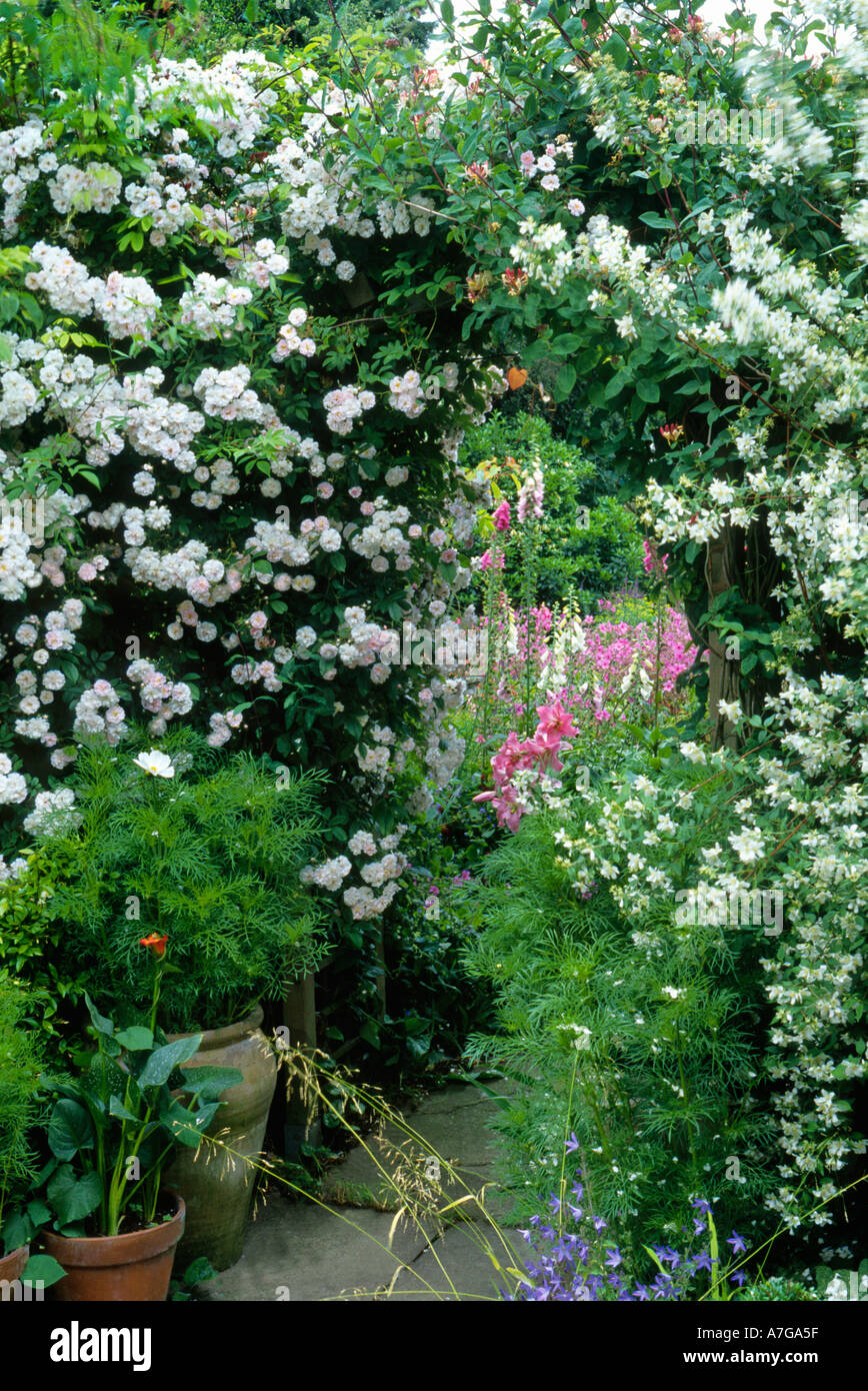 Cottage Garten Rose Bogen Spalier Torbogen Rosa "Pauls Himalayan Musk" Klettern Rosen Philadelphus duftenden Blüten Blick durch Stockfoto