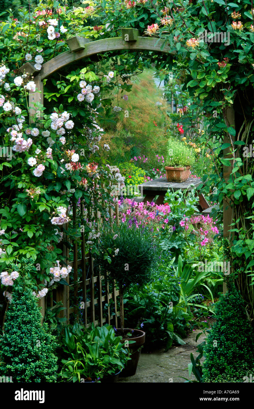 Cottage Garten Norfolk England UK Kletterer Bogen Spalier Rose Rosa