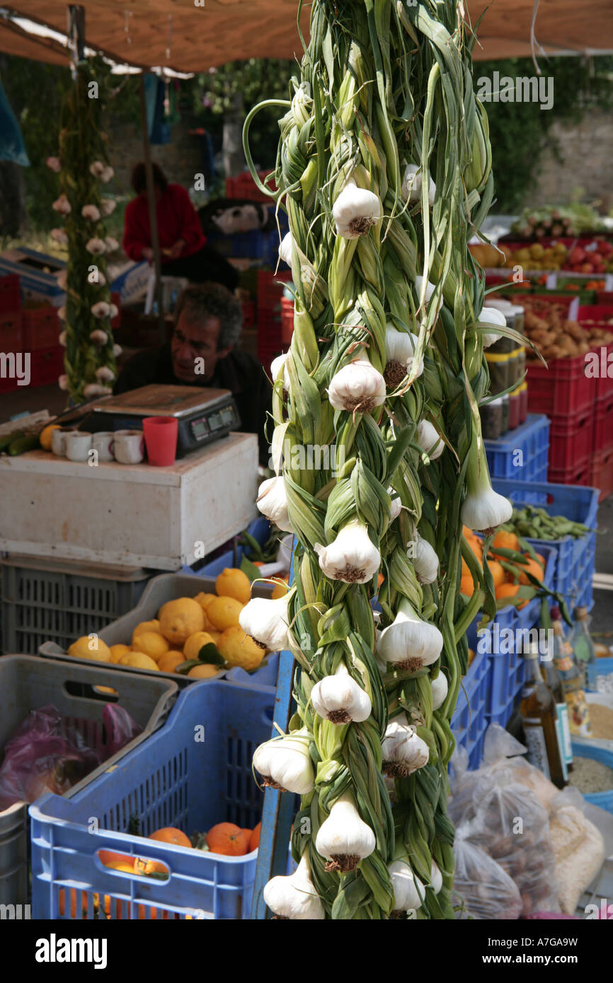 Frischer Knoblauch auf Verkauf Markt Nicosia Zypern Stockfoto
