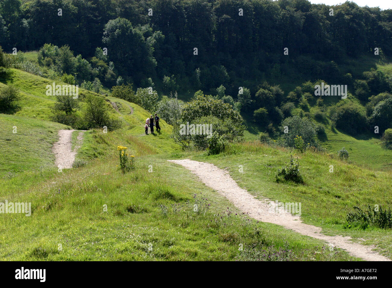 Blick vom Birdlip-Hügel in Gloucestershire Stockfoto