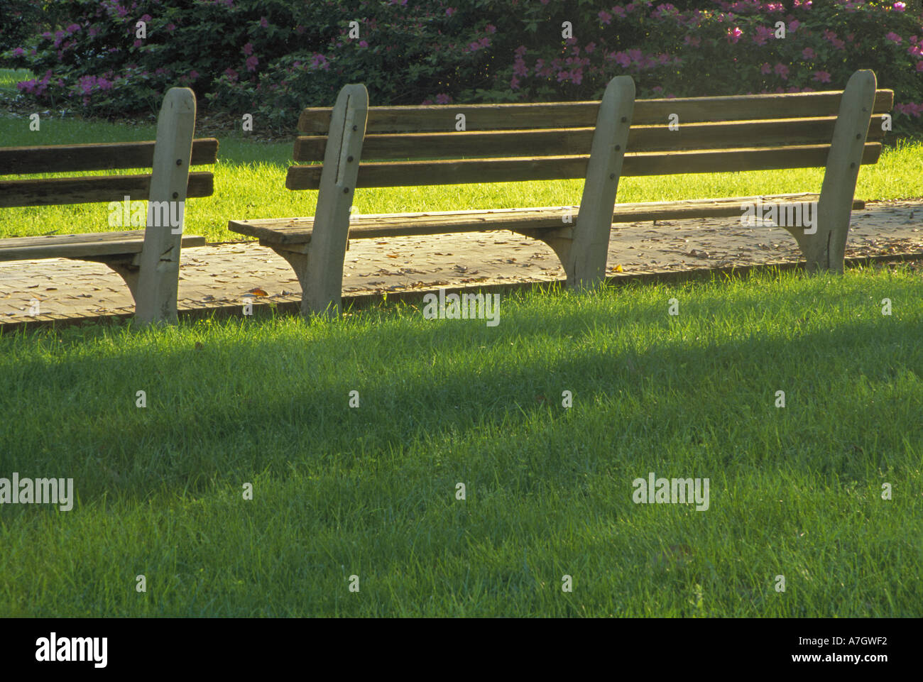 N.a. USA, Georgia, Savannah.  Parkbänke im Altstädter Ring. Stockfoto