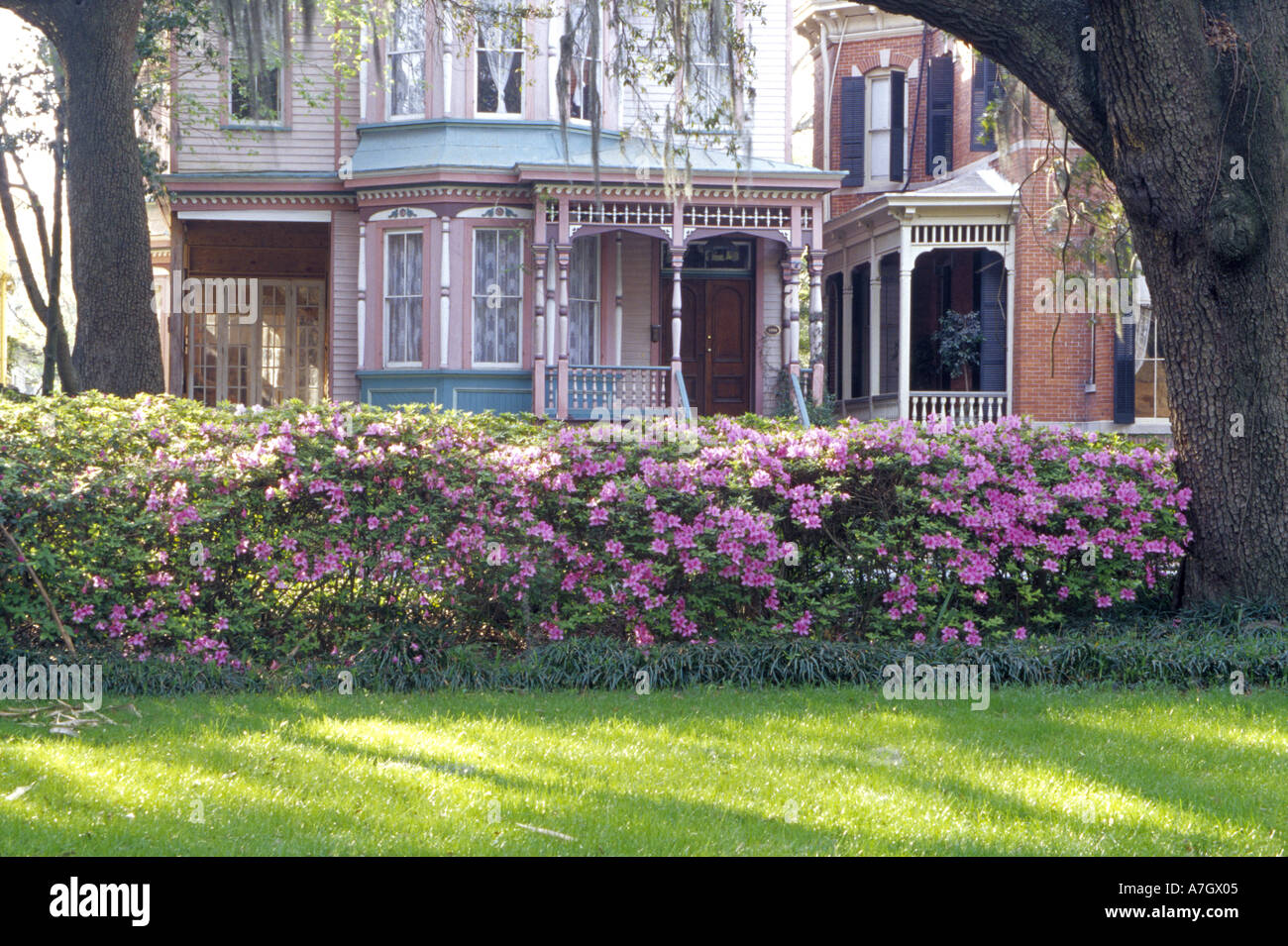 N.a. USA, Georgia, Savannah.  Glyzinien am Pavillon gegenüber dem Park. Stockfoto