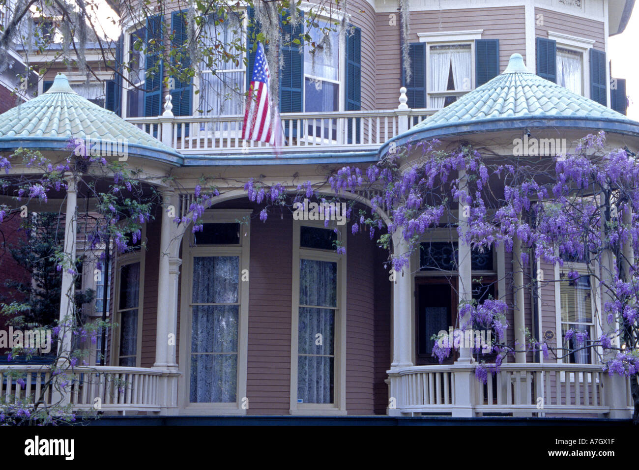 N.a. USA, Georgia, Savannah.  Glyzinien am Pavillon. Stockfoto