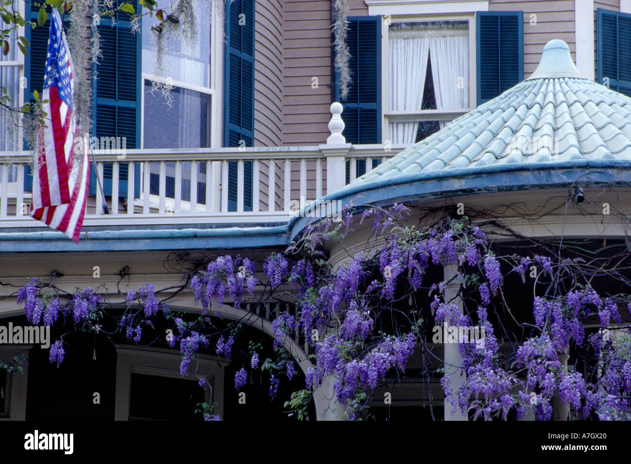 N.a. USA, Georgia, Savannah.  Glyzinien am Pavillon. Stockfoto