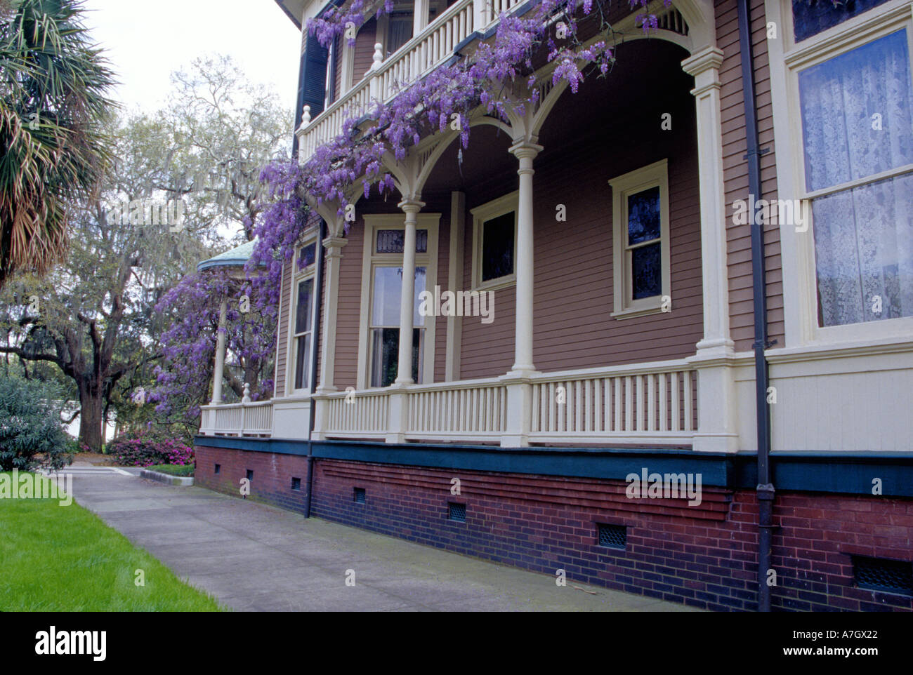 N.a. USA, Georgia, Savannah.  Glyzinien auf Veranda. Stockfoto