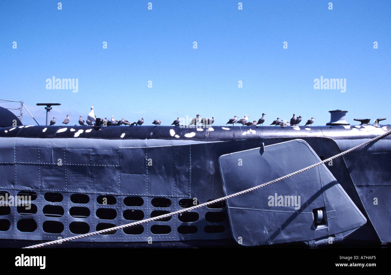 Möwen auf u-Boot USS Pampanito Stockfoto