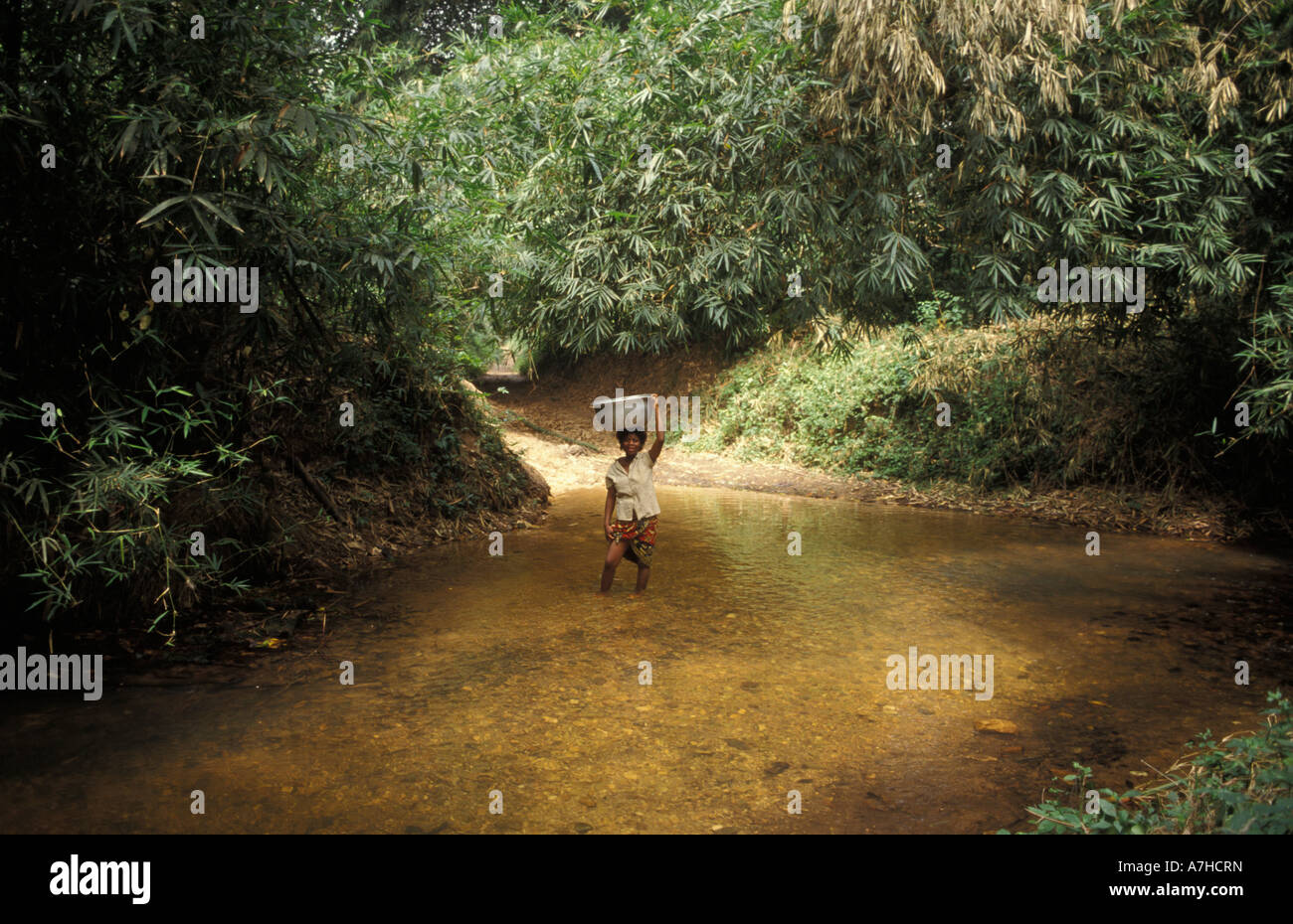 Wald in Agumatsa Wildlife Sanctuary, der Pfad zur Wli fällt oder Agumatsa fällt durch dichten Wald, Ghana Stockfoto