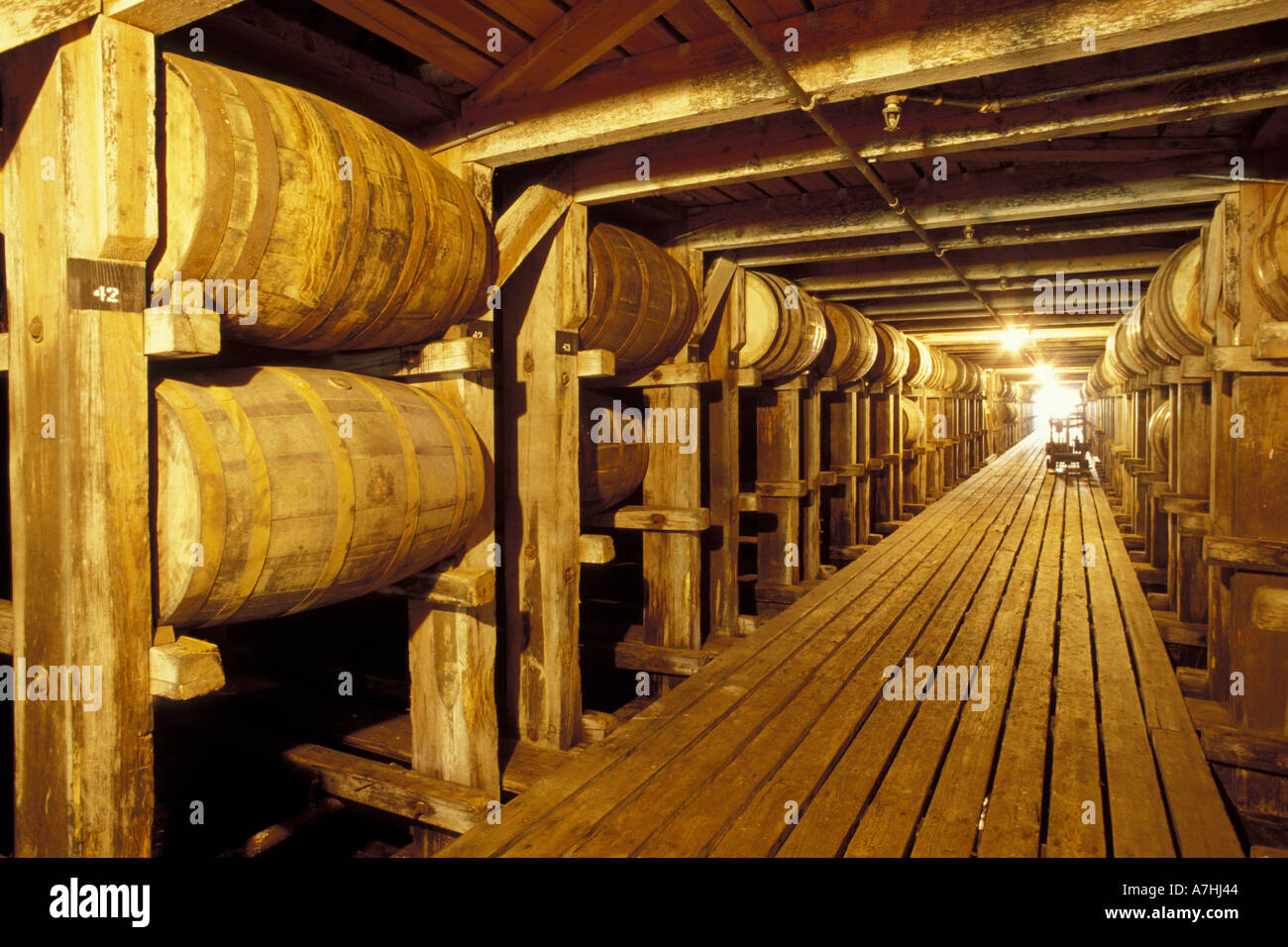 NA, USA, Kentucky, antike Brennerei. Bourbon Alterung in Fässern aus französischer und amerikanischer Eiche Stockfoto