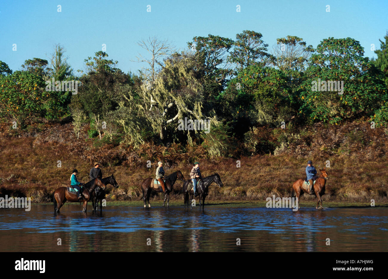 Pferd Reiten, See Kaulime, Nyika Nationalpark, Malawi Stockfoto