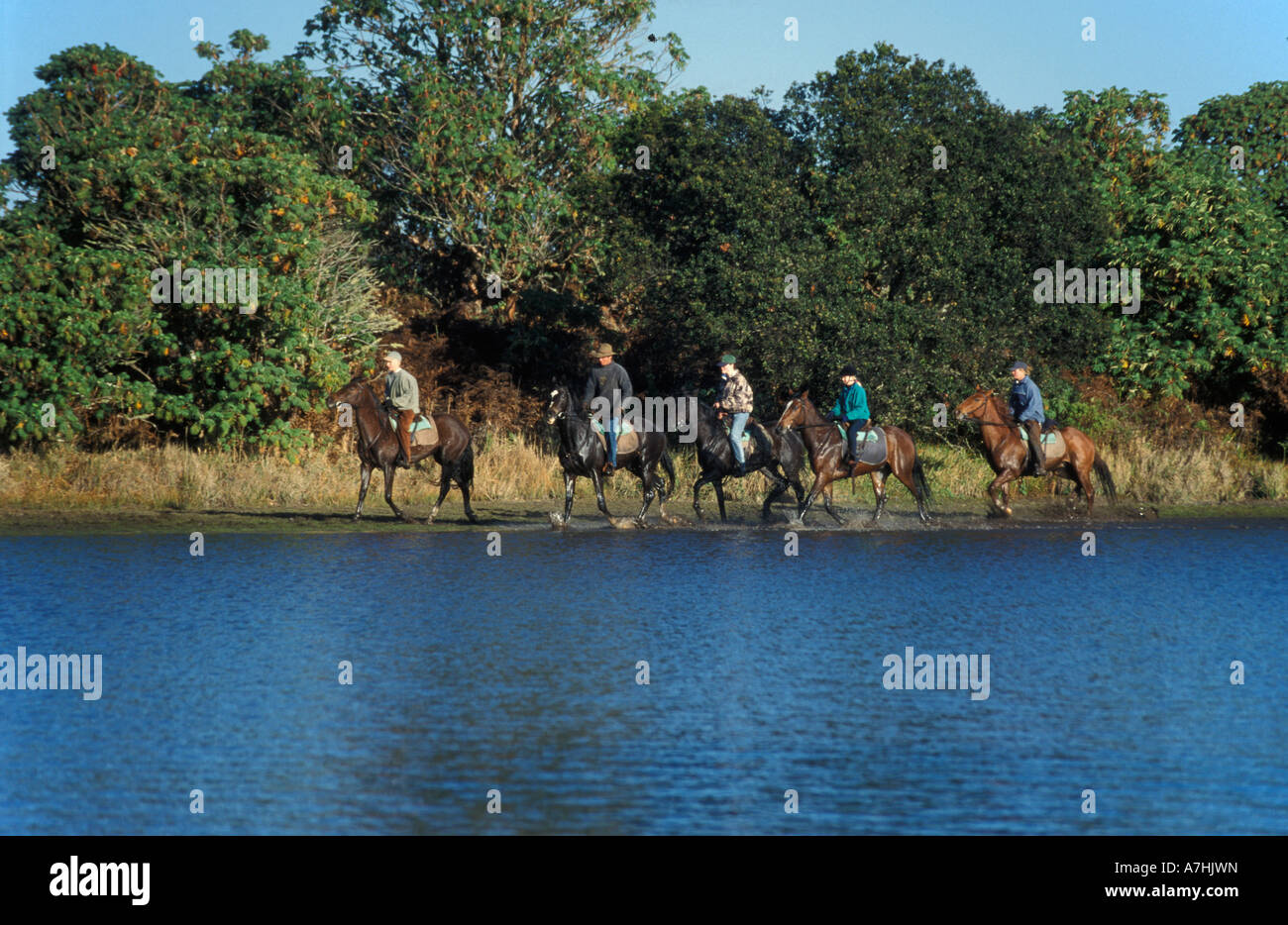 Pferd Reiten, See Kaulime, Nyika Nationalpark, Malawi Stockfoto