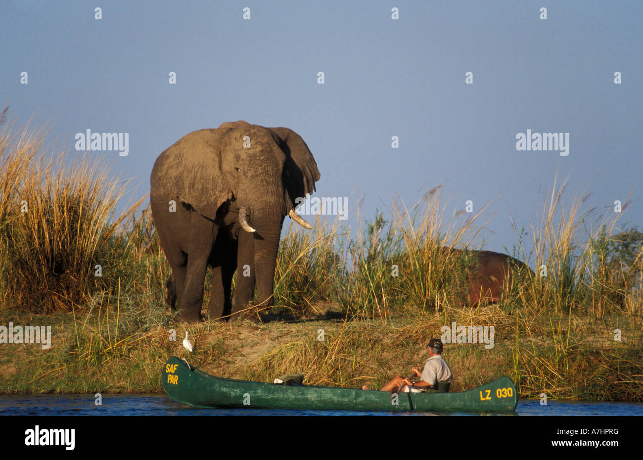 Kanufahren auf dem Zambezi River Lower Zambezi National Park-Sambia Stockfoto