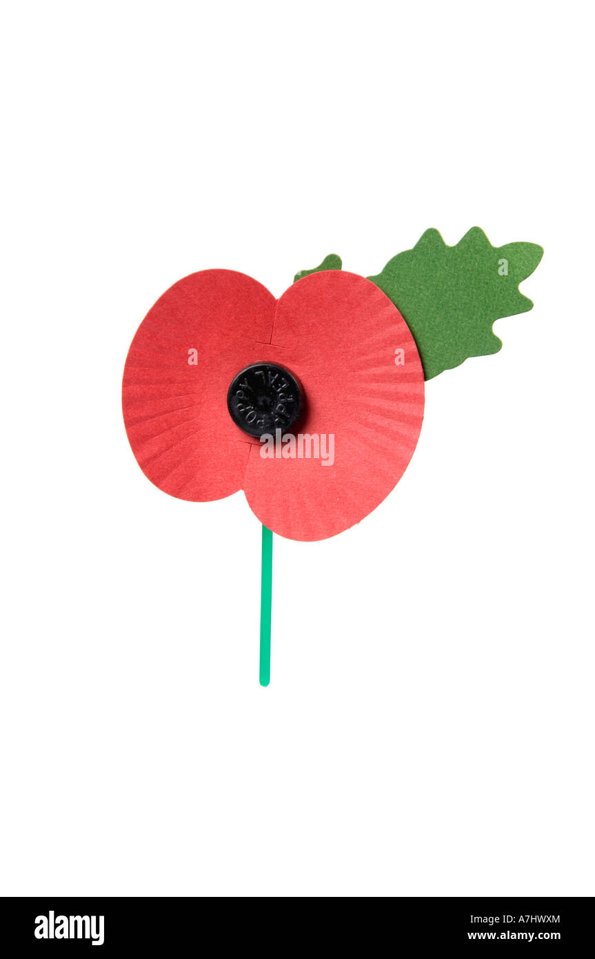 UK Mohnblumen Pin 2022 – Gedenk-Anstecker Aus Ema Produktbild-Vorschau 3