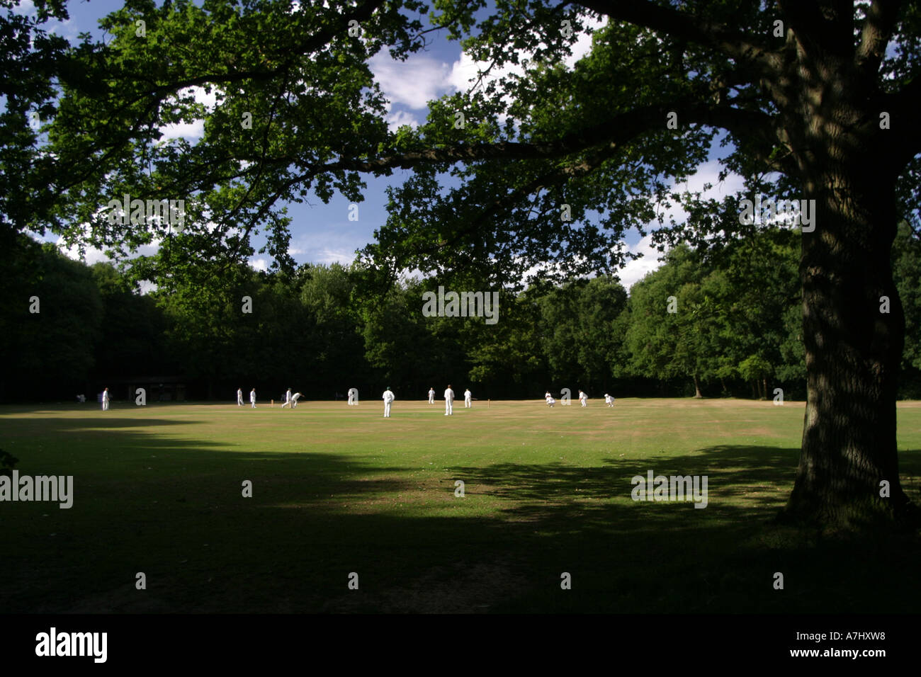 Englisches Dorf cricket Stockfoto