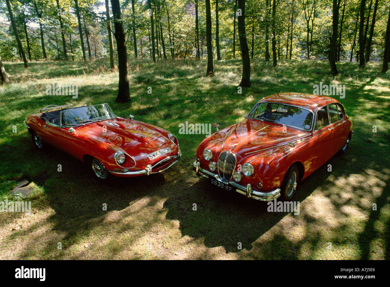 Jaguar E-Type Serie 1 Jaguar Mk 2 Oldtimer Stockfoto