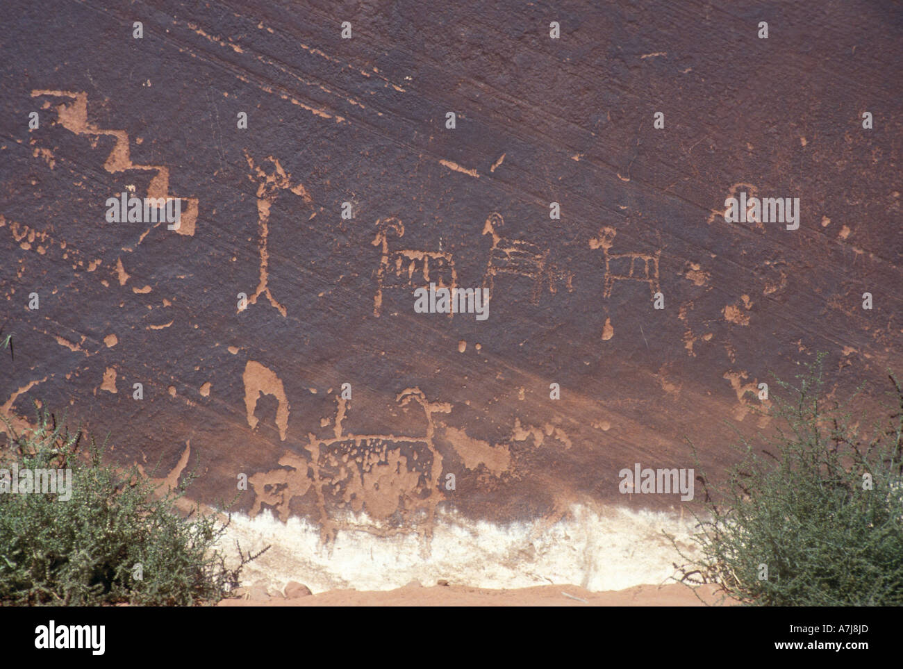 Indianische Felszeichnungen Utah Lake Powell Stockfoto