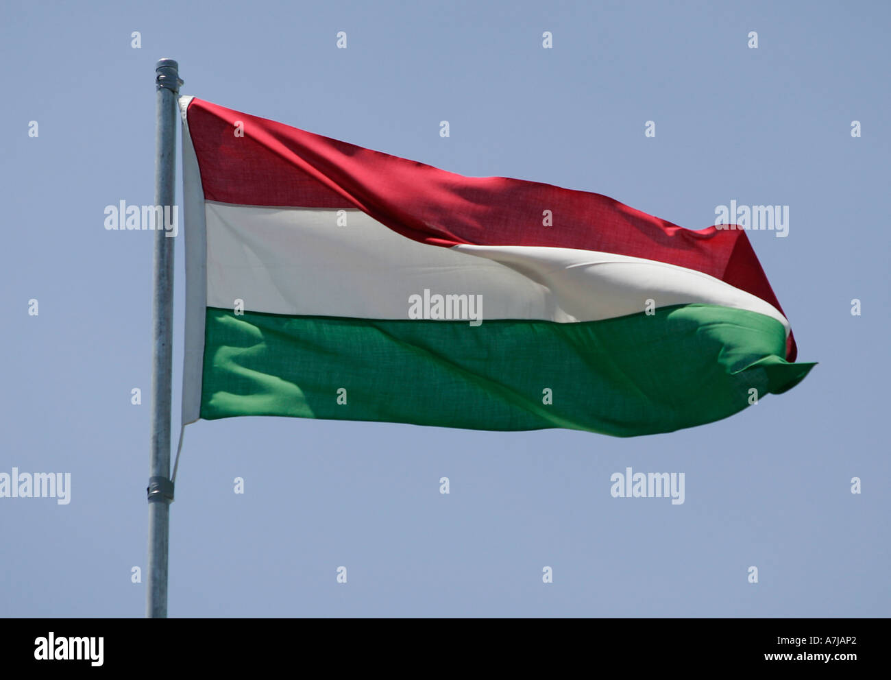 Flagge von Ungarn Stockfoto