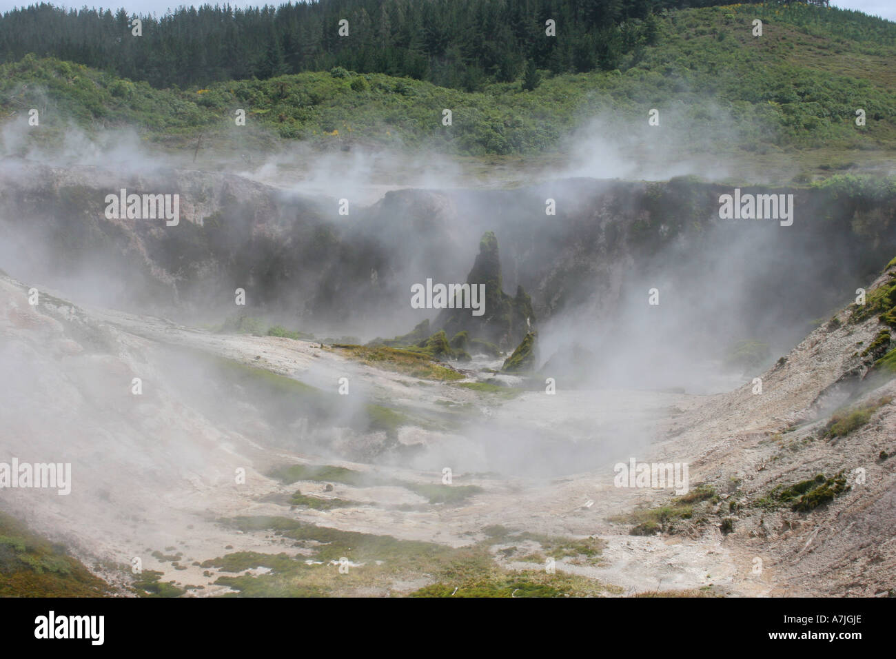 Craters of the Moon, Wairakei Park Stockfoto